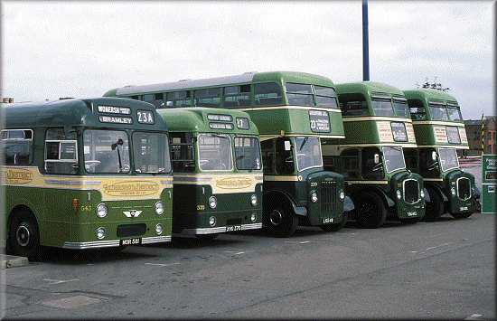Group of A&D buses posing at a Running Day